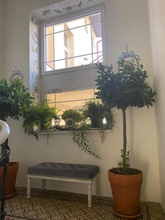 Apartament Szafir رشيشوف المظهر الخارجي الصورة